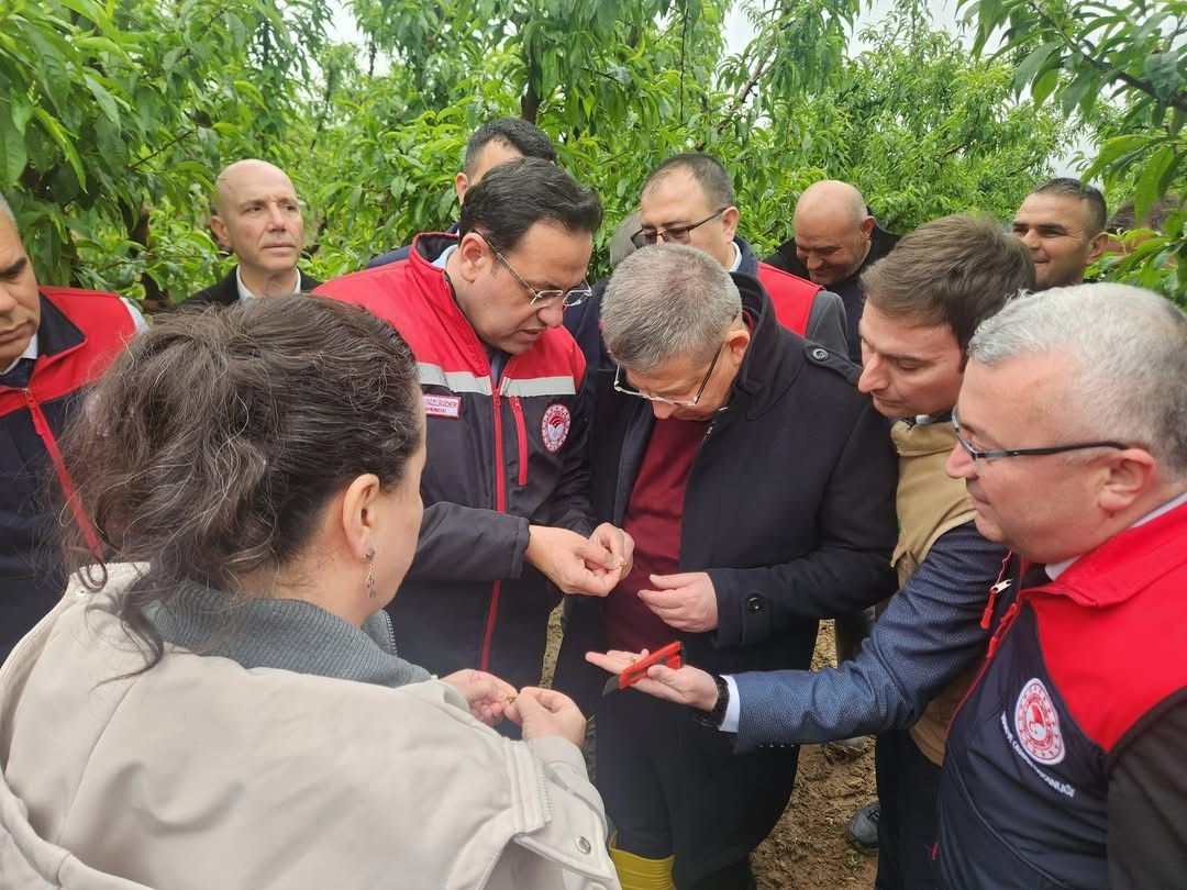 Tarım ve Orman Bakan Yardımcısı Gizligider, Denizli’de zirai dondan etkilenen tarımsal alanları inceledi