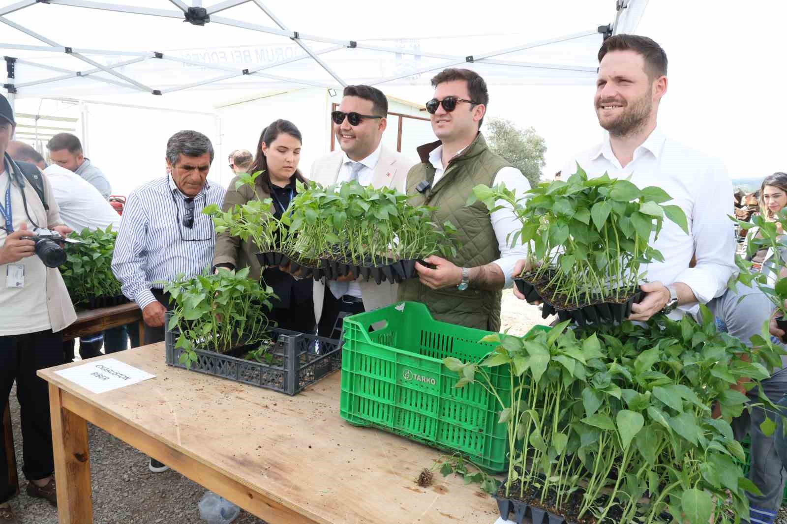 Bodrum Belediyesi tarafından ata tohumlardan üretilen 250 bin fide 1 saatte bitti