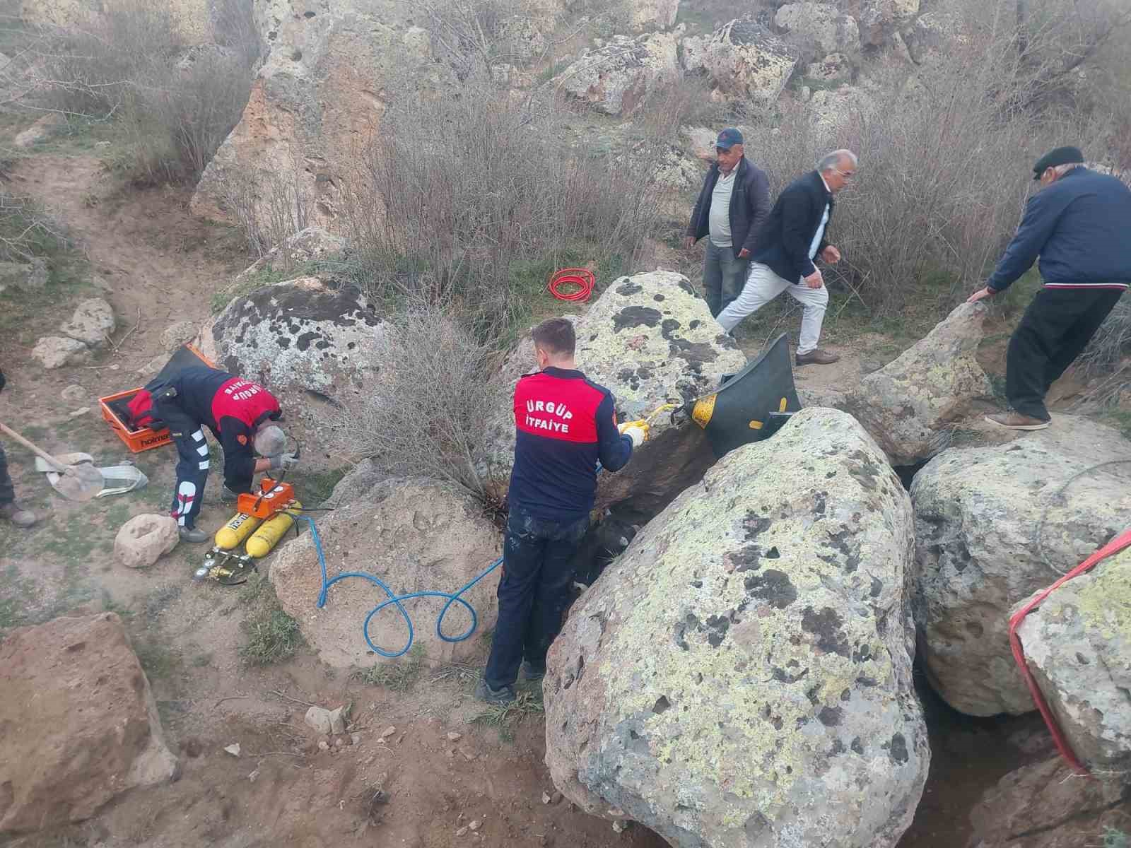 Kayaların arasına sıkışan tosunu itfaiye kurtardı