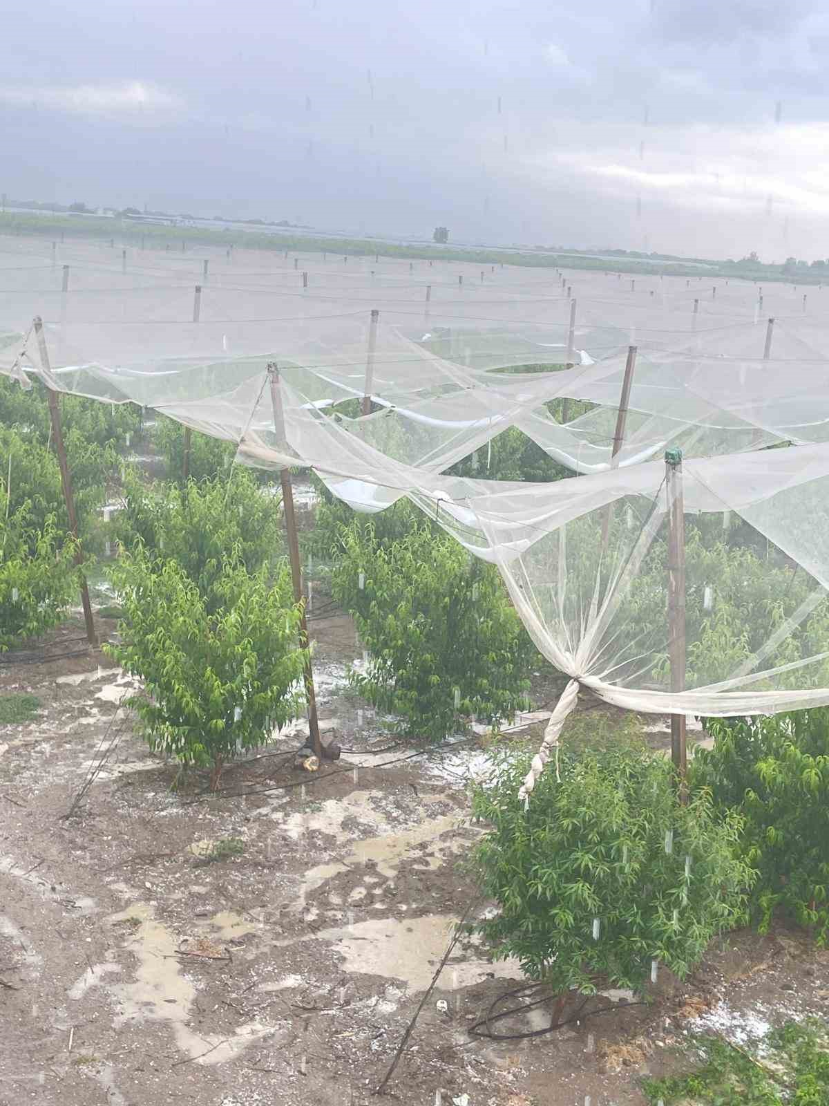 Mersin’de dolu ürünlere zarar verdi