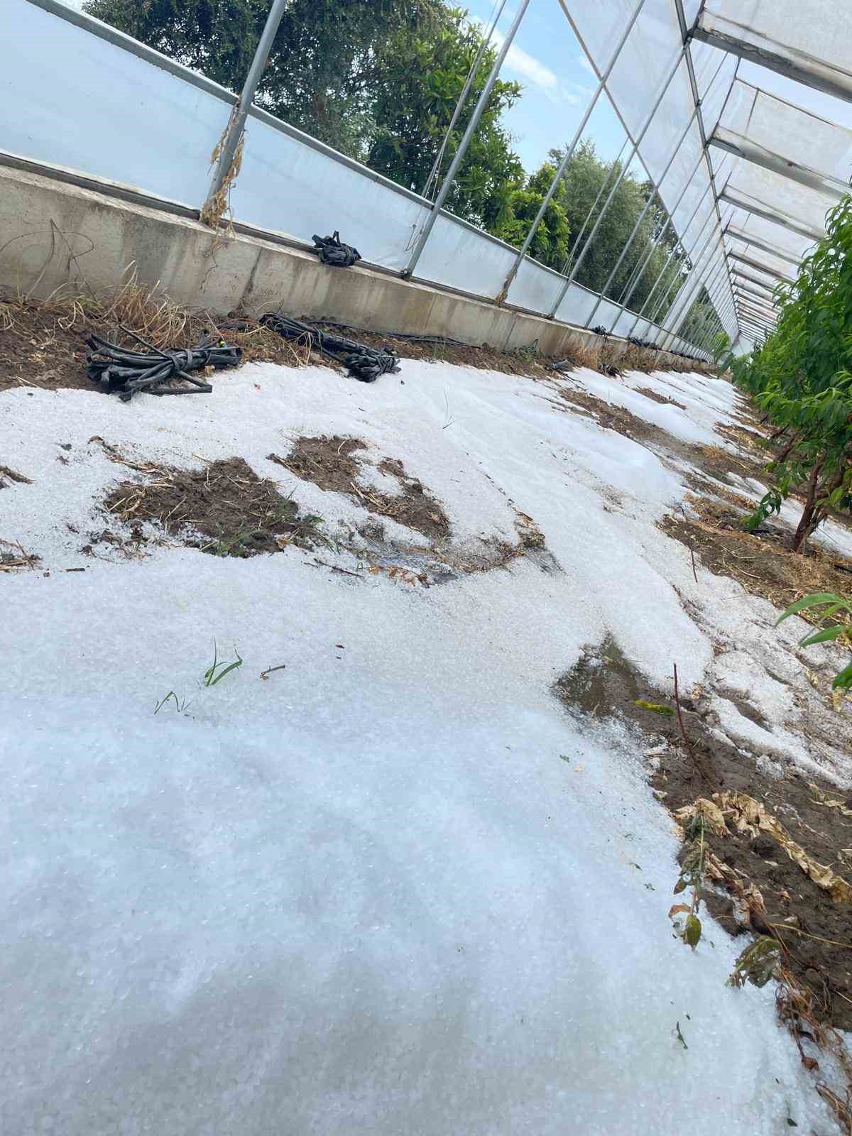 Mersin&rsquo;de dolu &uuml;r&uuml;nlere zarar verdi
