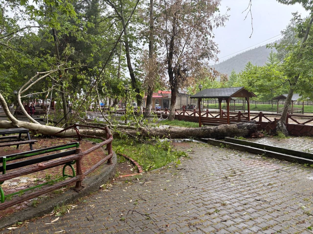 Şiddetli yağmur ve fırtına tarihi çınar ağacını gövdesinden kırdı
