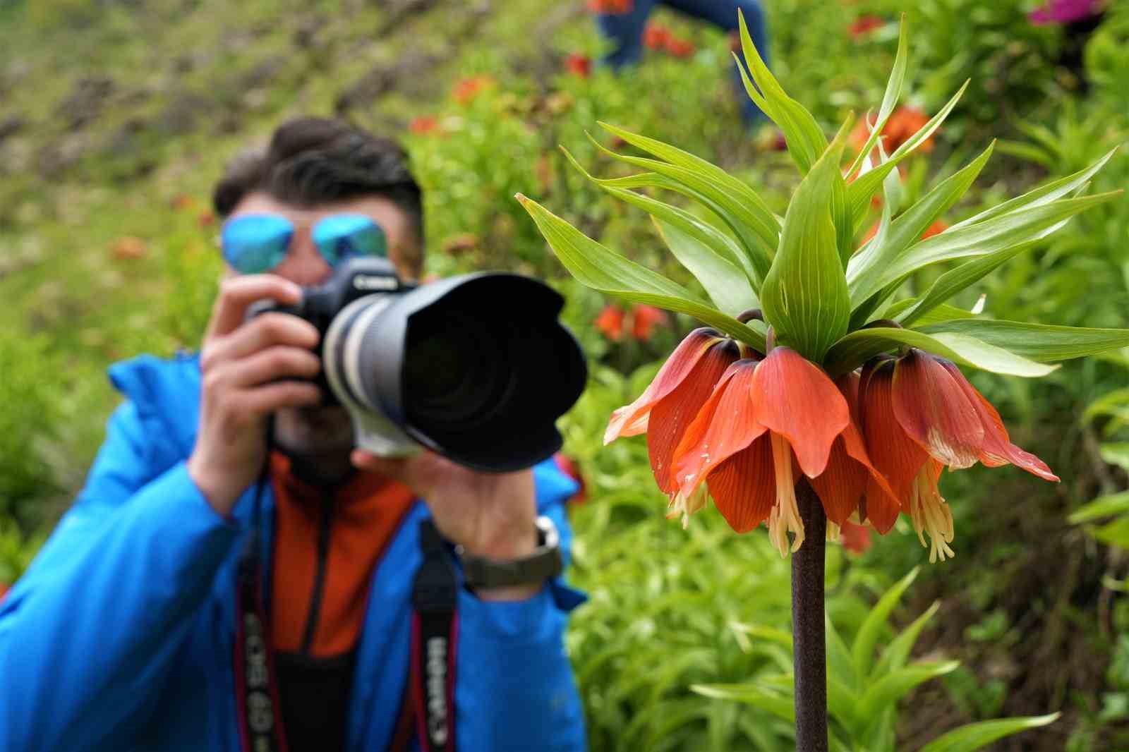 Ters laleleri görmek için 500 kilometre yol geldiler ama dokunamadılar