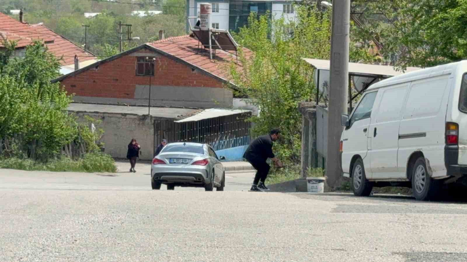 Duyarlı sürücü ve vatandaş, kaplumbağaları ezilmekten kurtardı