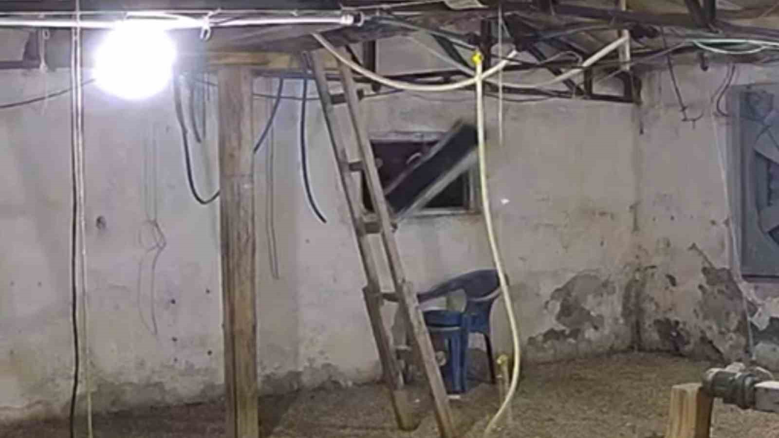 Bolu’da kümese girmeye çalışan ayı kamerada