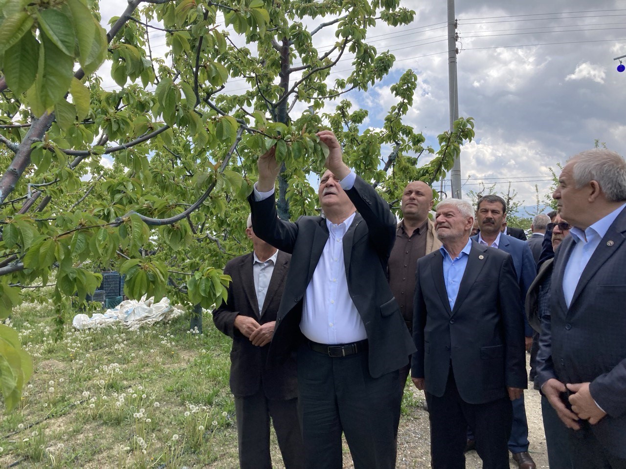 TZOB Genel Başkanı Şemsi Bayraktar: "3 gün süren don olayı maalesef ürünlerimizi ve üreticimizi perişan etti"