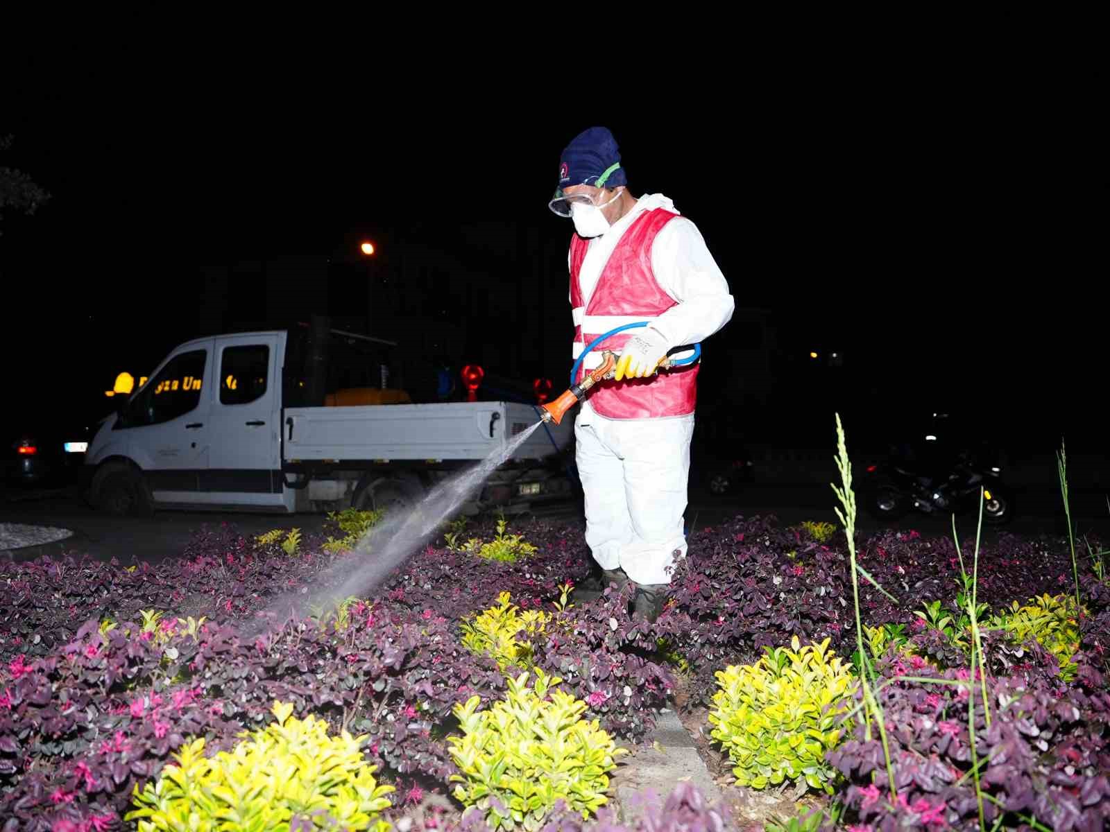 Bahar ilaçlaması başladı