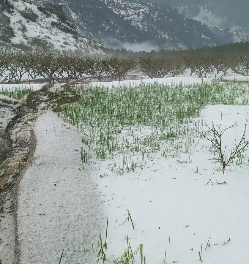 Erdemli&rsquo;de dolu, tarım alanlarına zarar verdi
