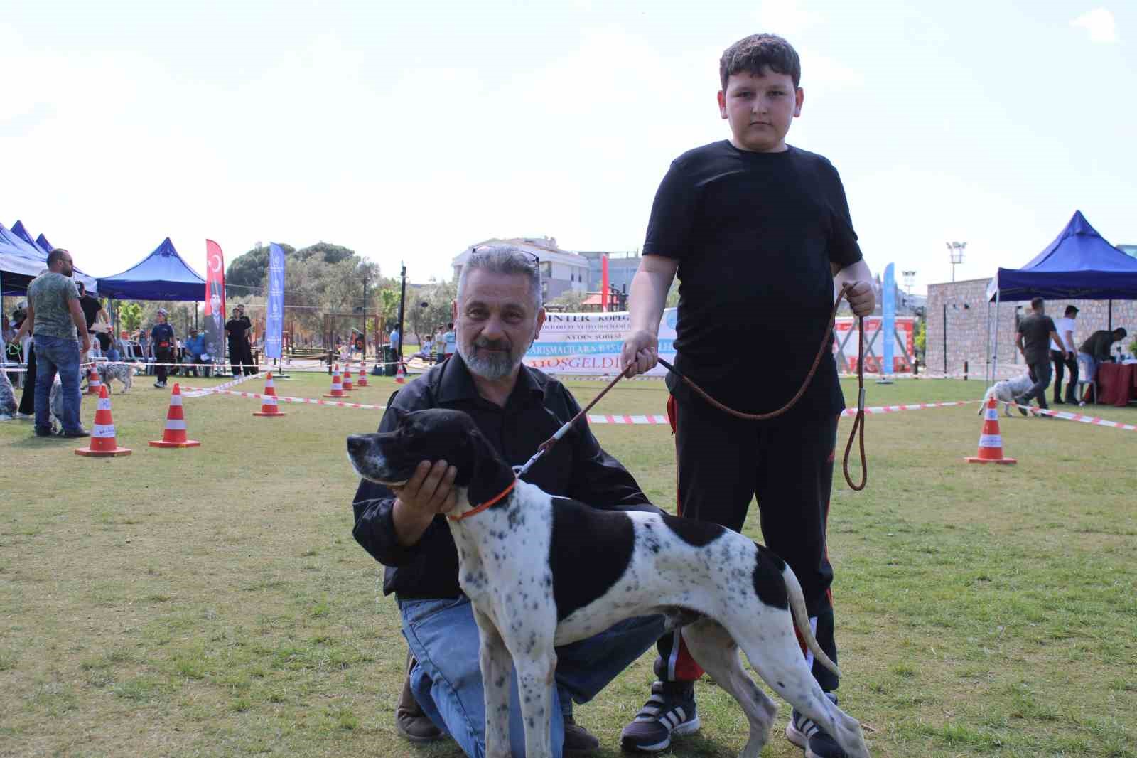 Aydın’da köpekler podyuma çıktı
