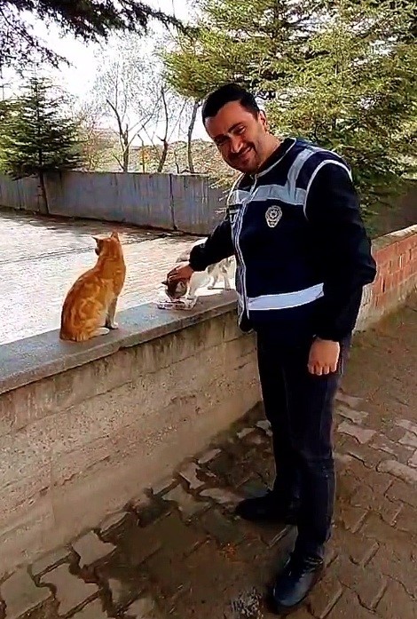 Ağaçta mahsur kalan kedi ekipler tarafından kurtarıldı
