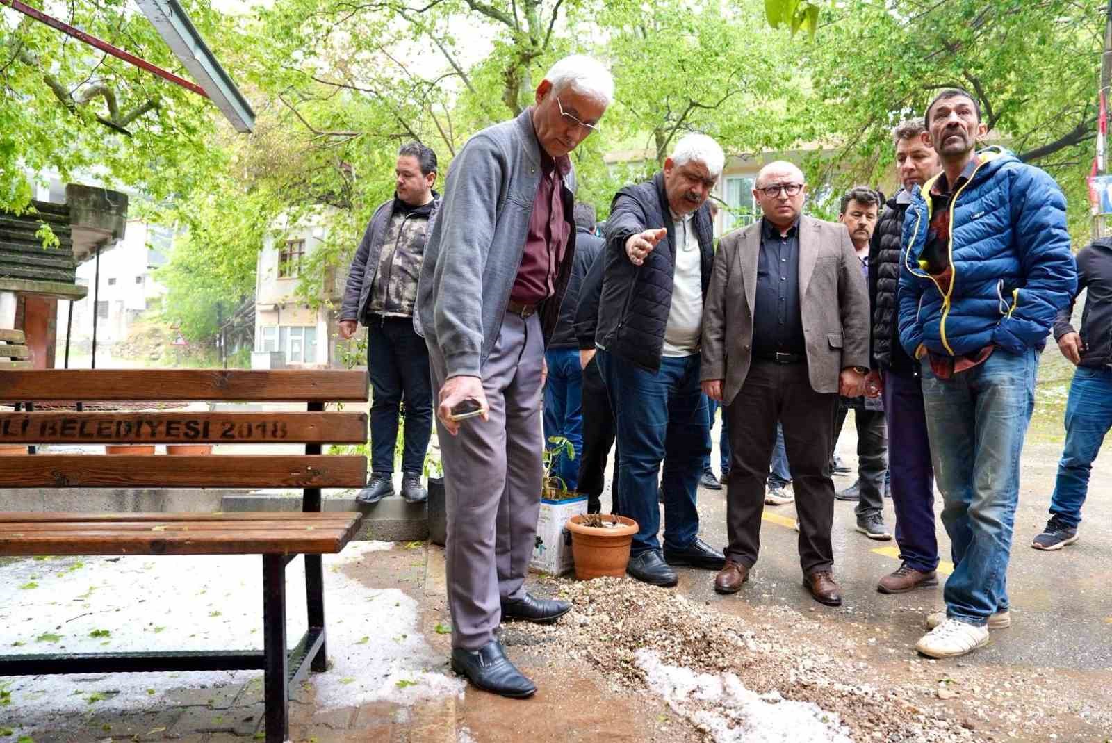 Dev kaya yola düştü, tarım alanları zarar gördü