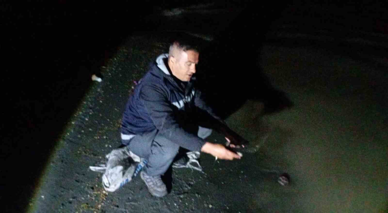 Van&rsquo;da inci kefali g&ouml;&ccedil;&uuml; başladı: 60 kilo balığa el konuldu
