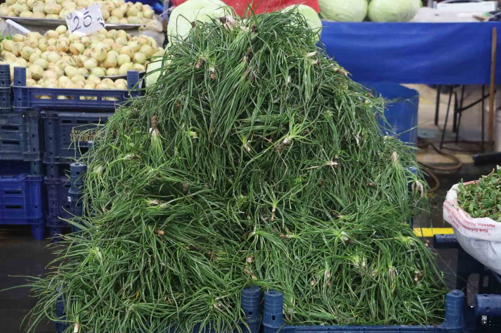 Doğada kendiliğinden yetişiyor, faydası saymakla bitmiyor