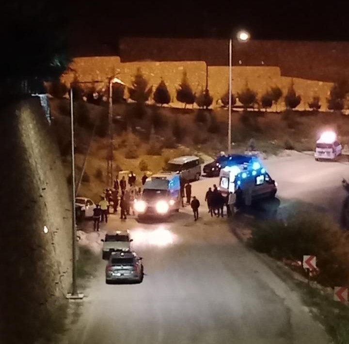 Elazığ’da otomobil elektrik direğine çarptı : 3 yaralı