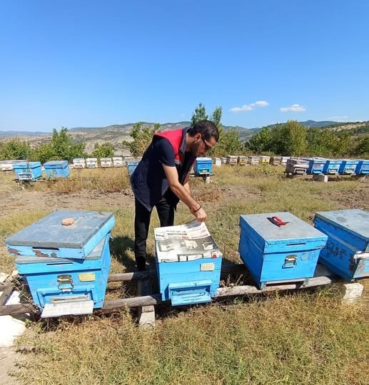 Bilecik İl Tarım ve Orman Müdürü Yoldaş’tan arı koruma çağrısı