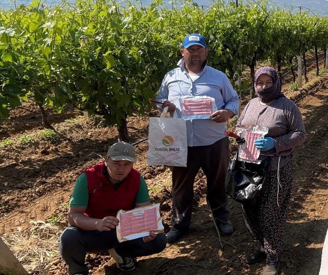 Sarıg&ouml;l&rsquo;de bağlarda Japon tuzağı ile koruma başladı
