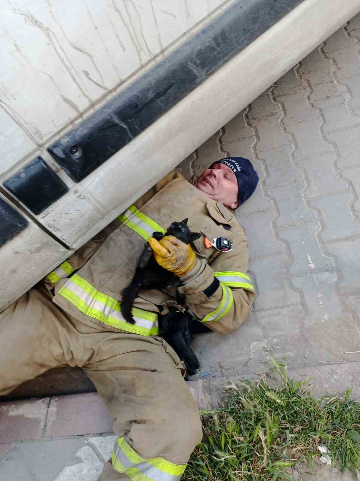 Edremit’te aracın içinde sıkışan yavru kedi kurtarıldı