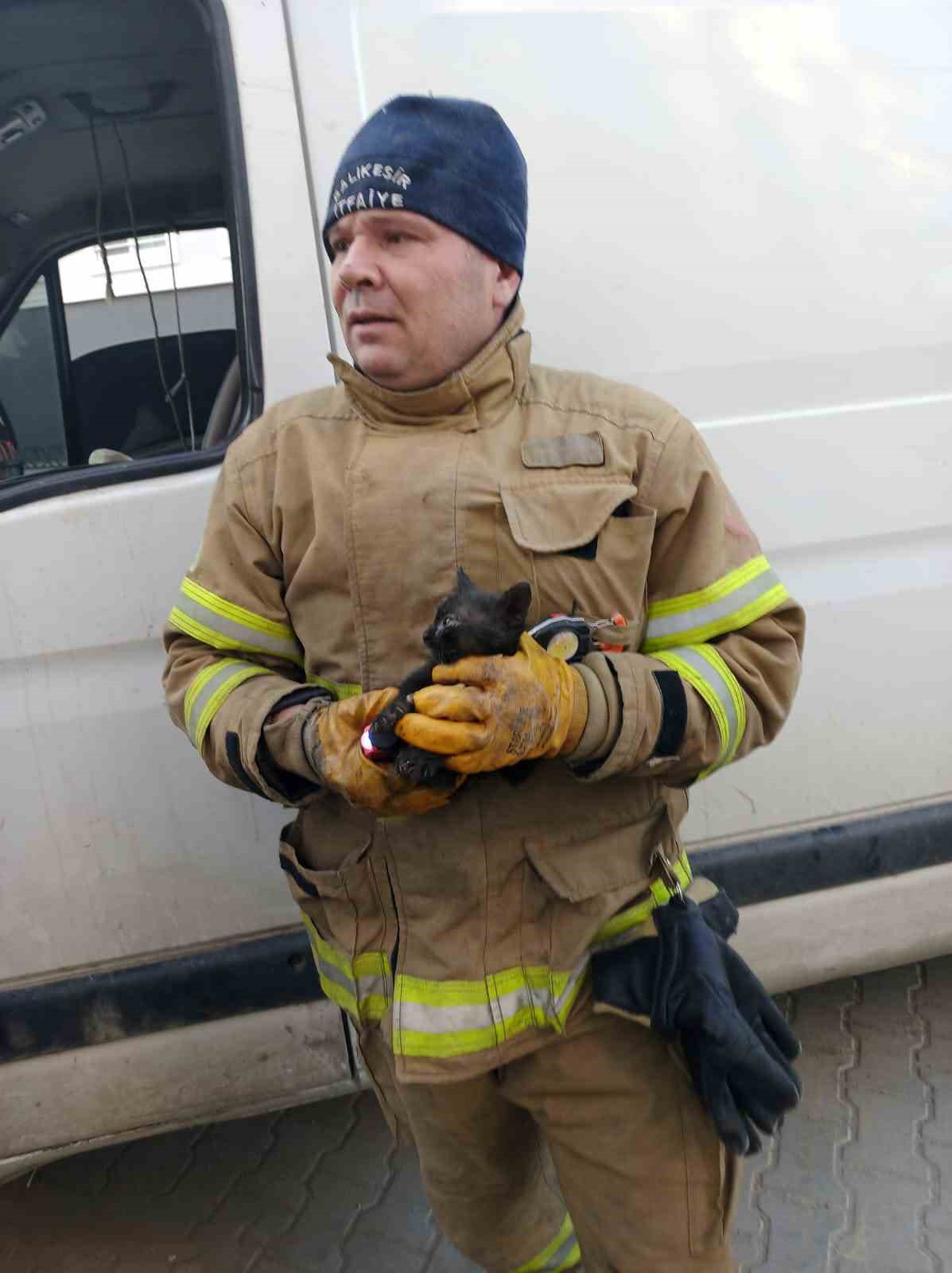 Edremit’te aracın içinde sıkışan yavru kedi kurtarıldı