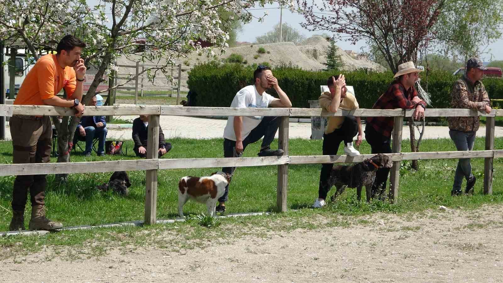 Kütahya’da Fermalı Av Köpekleri Mera Yarışması düzenlendi