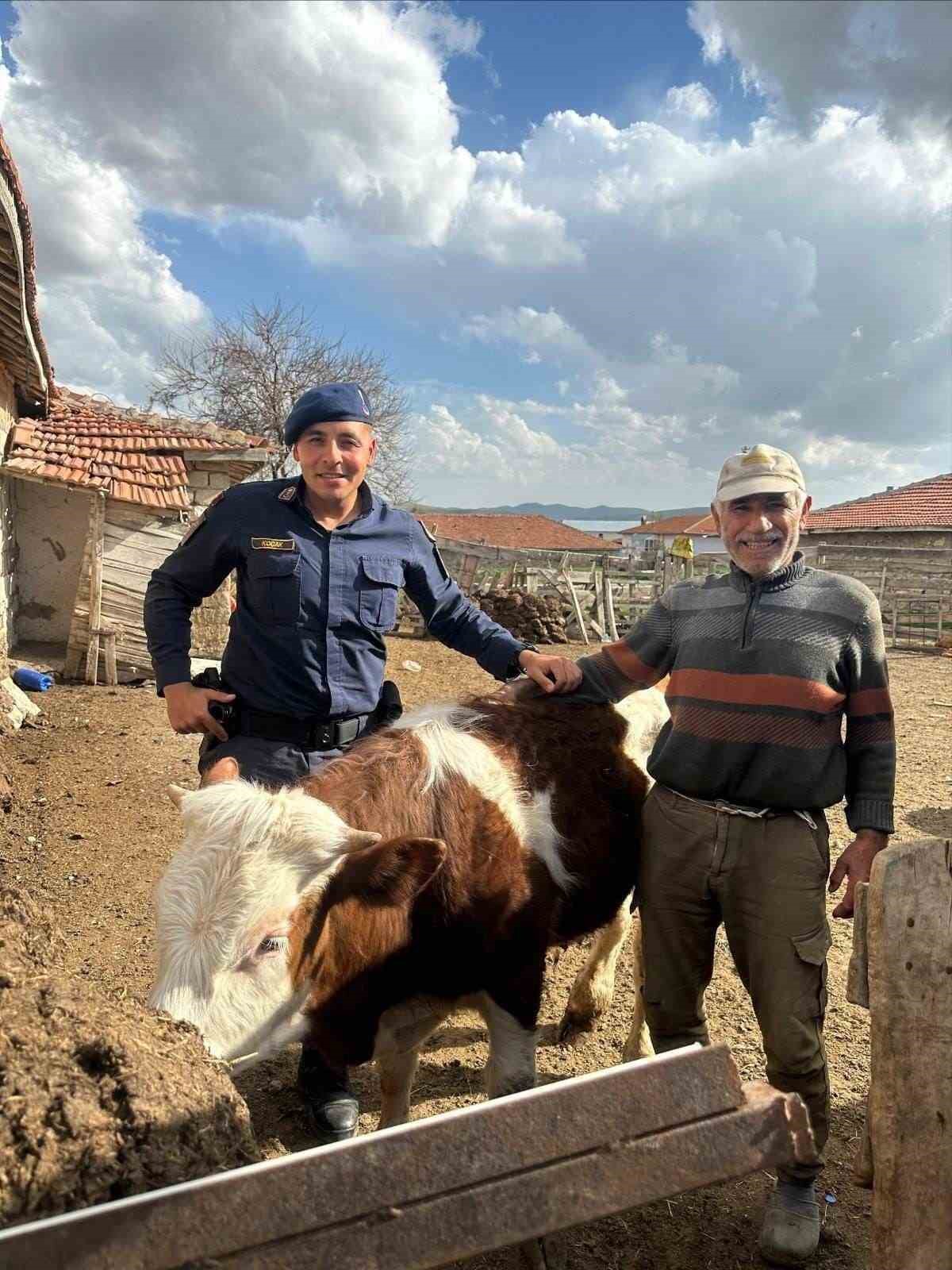 Jandarma kayıp büyükbaş hayvanı bularak sahibine teslim etti