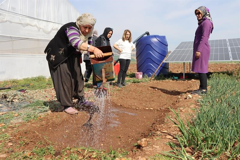Kadın çiftçilerle sebze fidesi yetiştirme kursu düzenlendi