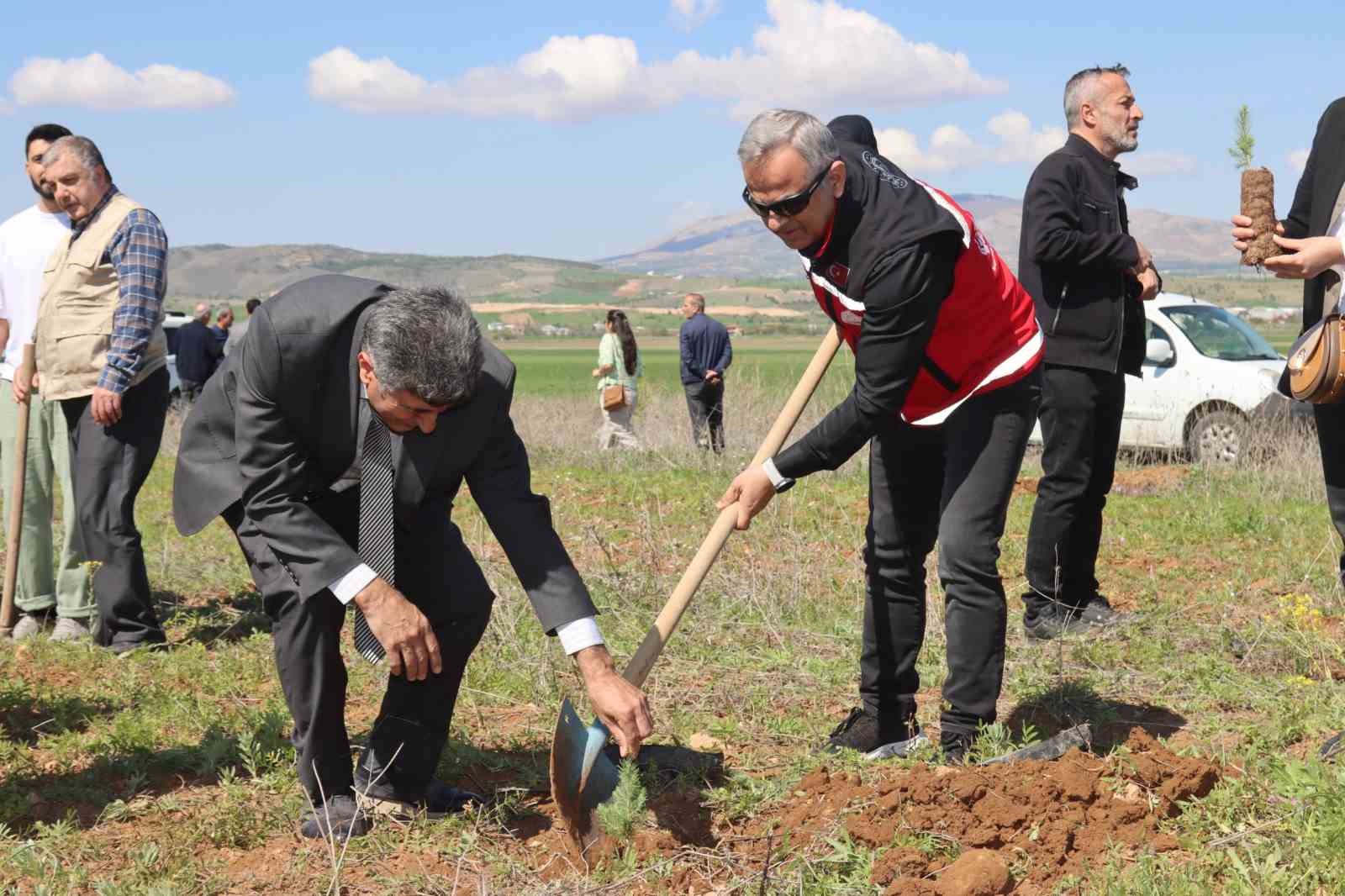 Elazığ’da ‘Aile Yılı hatıra ormanı’ oluşturuldu
