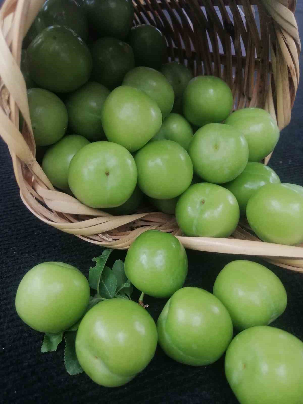 Gezende Erik Festivali&rsquo;nin 15&rsquo;incisi ger&ccedil;ekleştirildi
