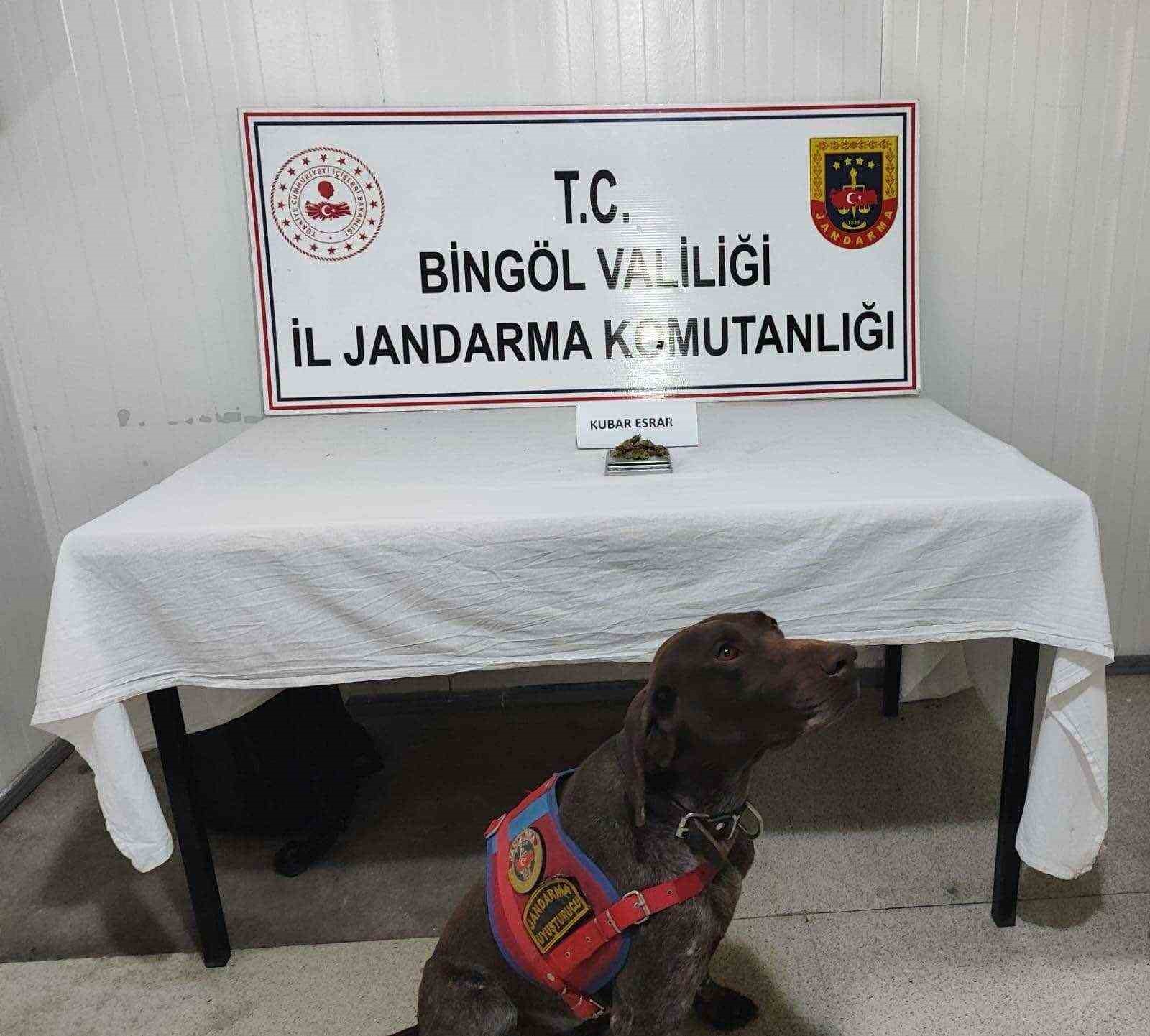 Bingöl’de uyuşturucu madde ve tüfek ele geçirildi