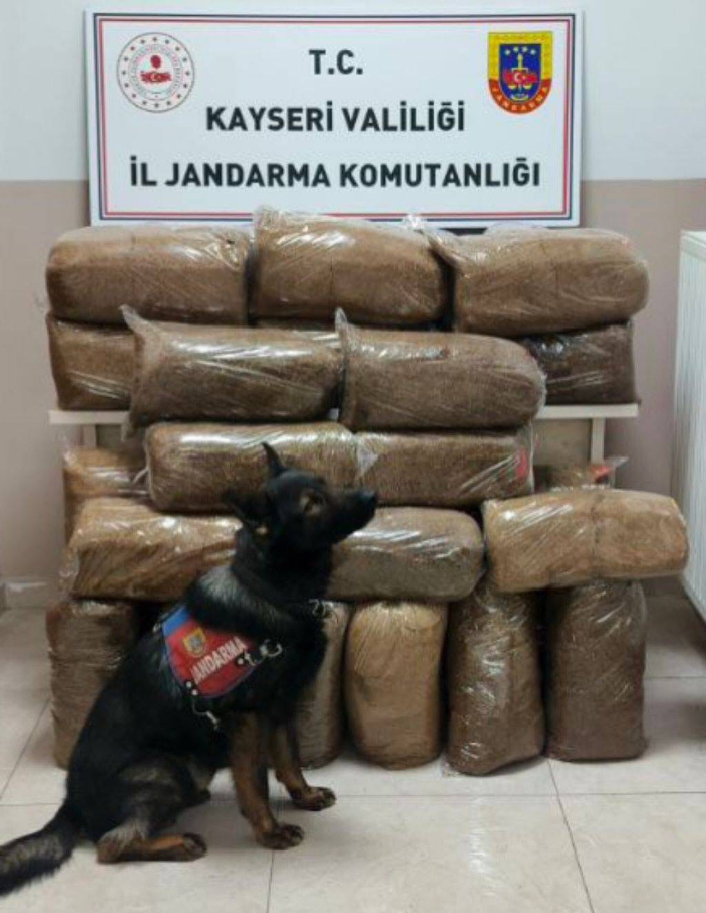 Yolcu otobüsünde kaçak tütün ele geçirildi