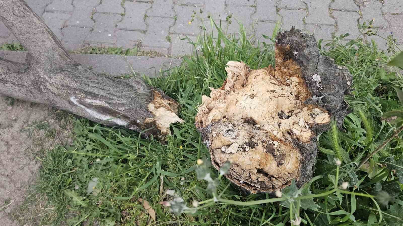 Bandırma’da fırtına hayatı olumsuz etkiledi