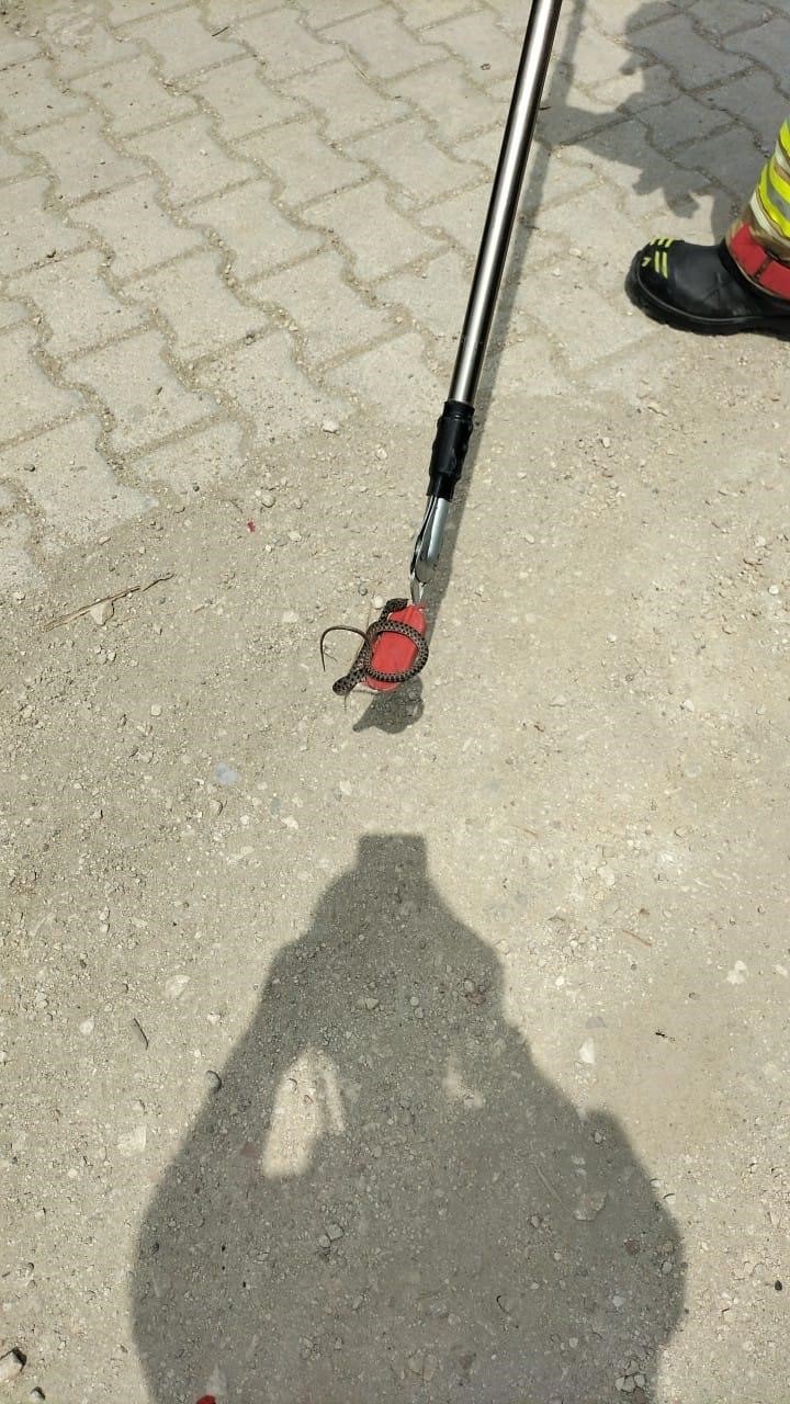 Eve giren yılanı itfaiye yakaladı
