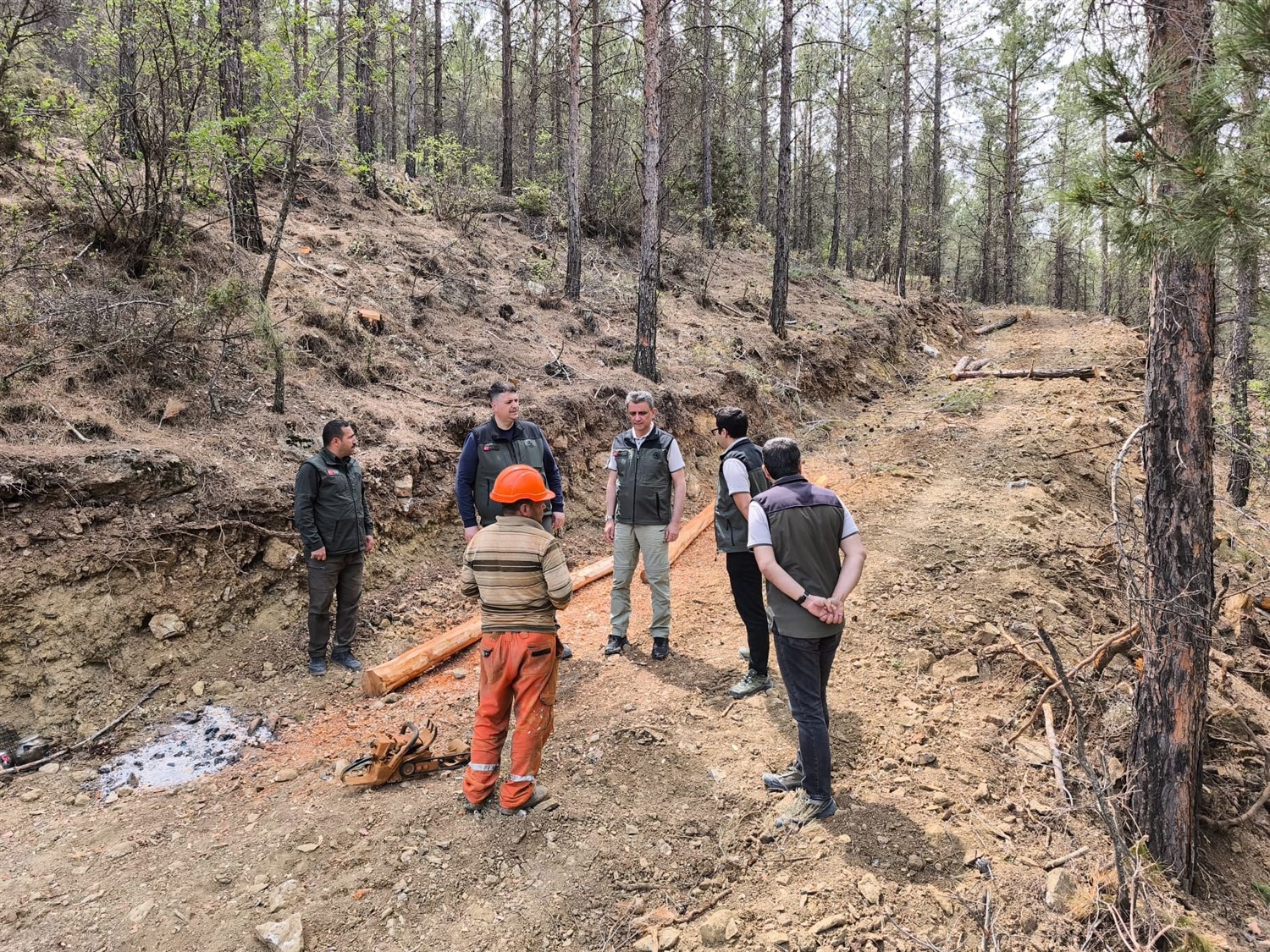 Orman Bölge Müdürü Ataş, Mut’ta incelemelerde bulundu