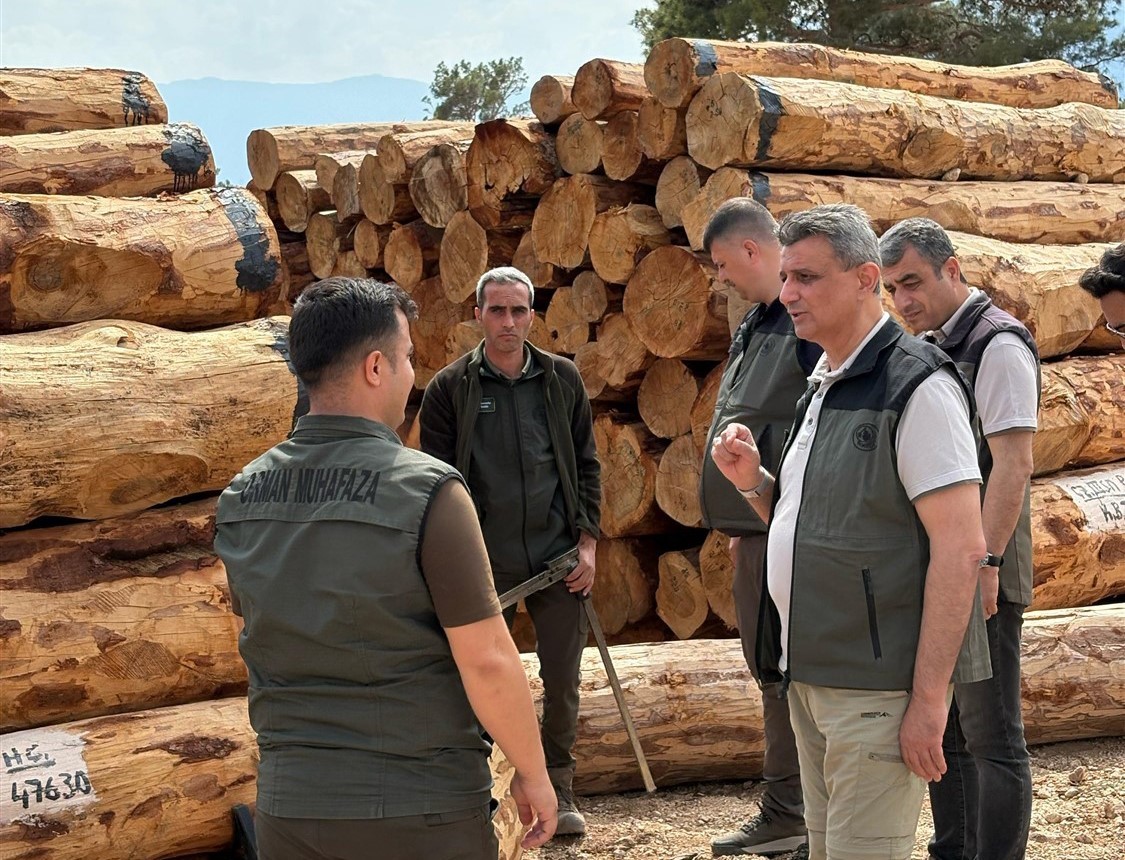 Orman Bölge Müdürü Ataş, Mut’ta incelemelerde bulundu