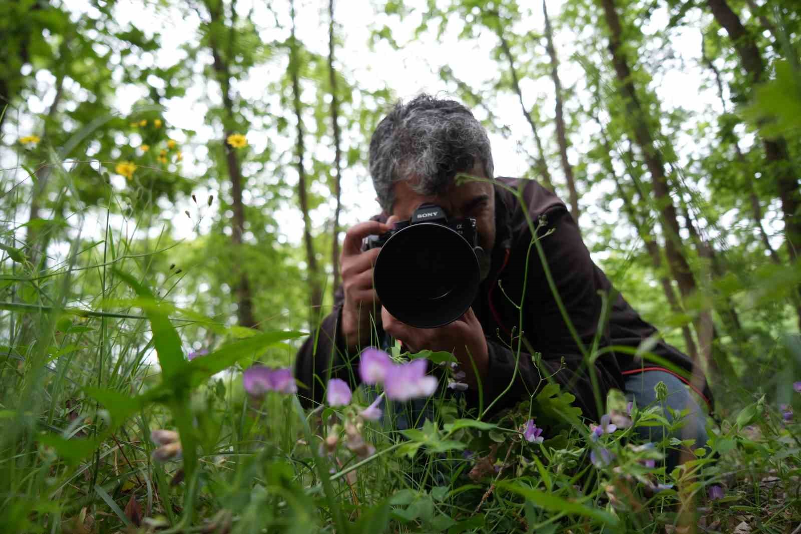 Dünyada sadece Kocaeli’de var: "Kesinlikle yenilmemeli, kopartılmamalıdır"