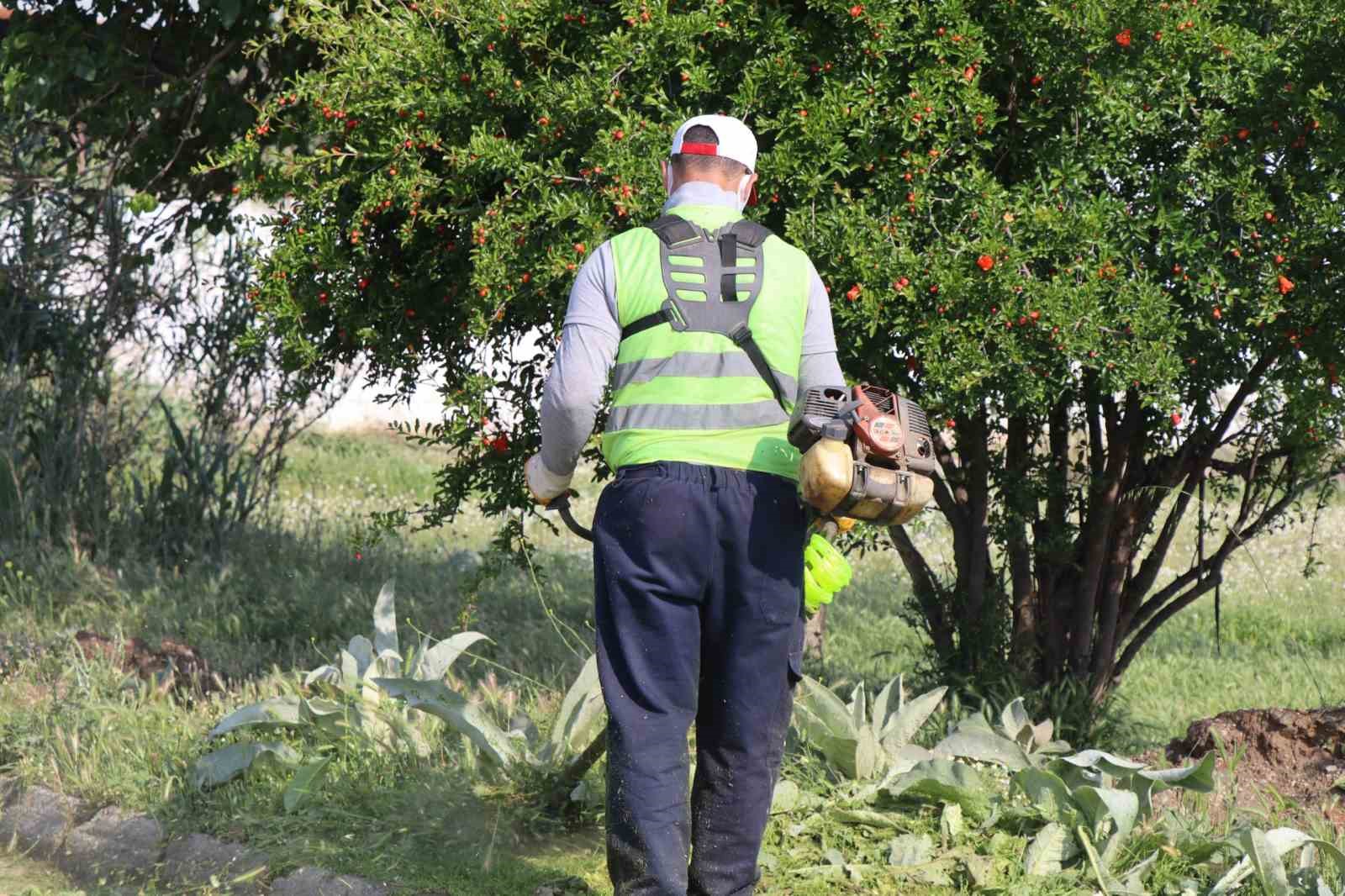 Aşağı Nazilli’de saha çalışmaları artırılıyor
