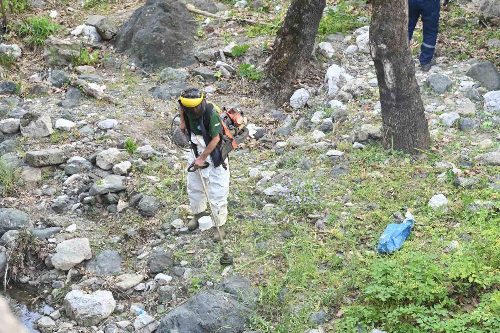 Çaybaşı Deresi hem temizlendi hem de yeni fidanlar dikildi