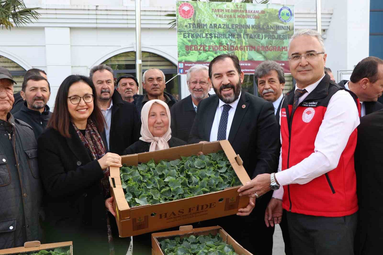 Yalova’da çiftçilere 375 bin adet sebze fidesi dağıtıldı