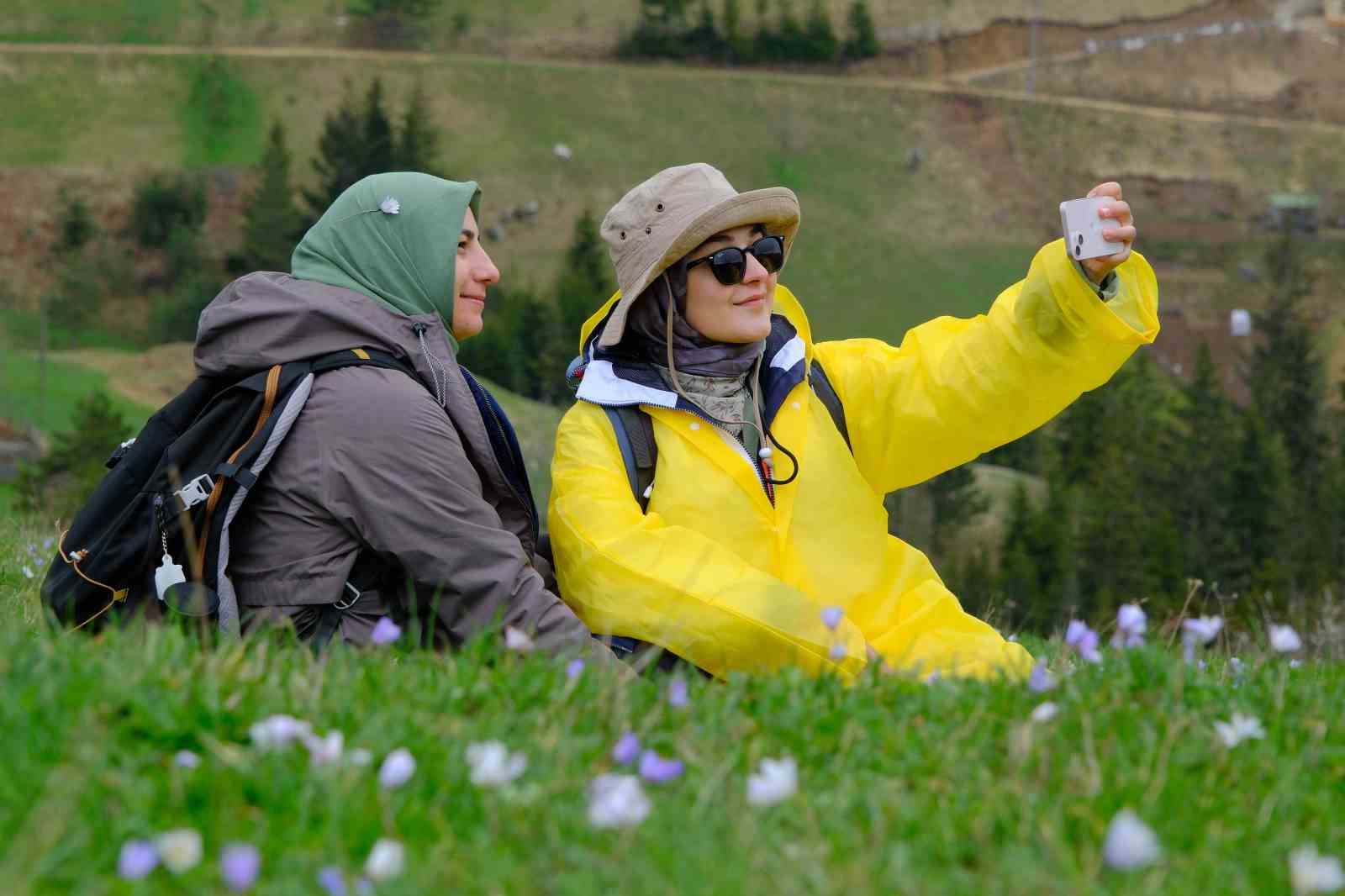 Gümüşhane’nin mor sümbül cenneti Damlı Köyü