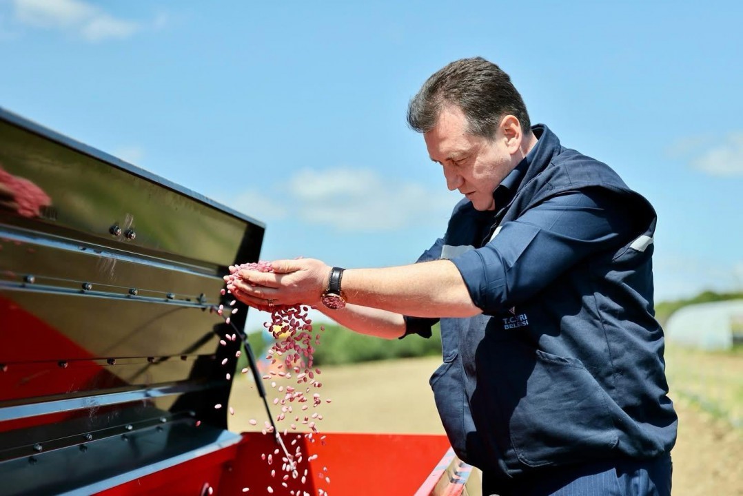 Silivri Belediyesi, ilk kez 10 dönüm nohut ve fasulye ekimi gerçekleştirdi