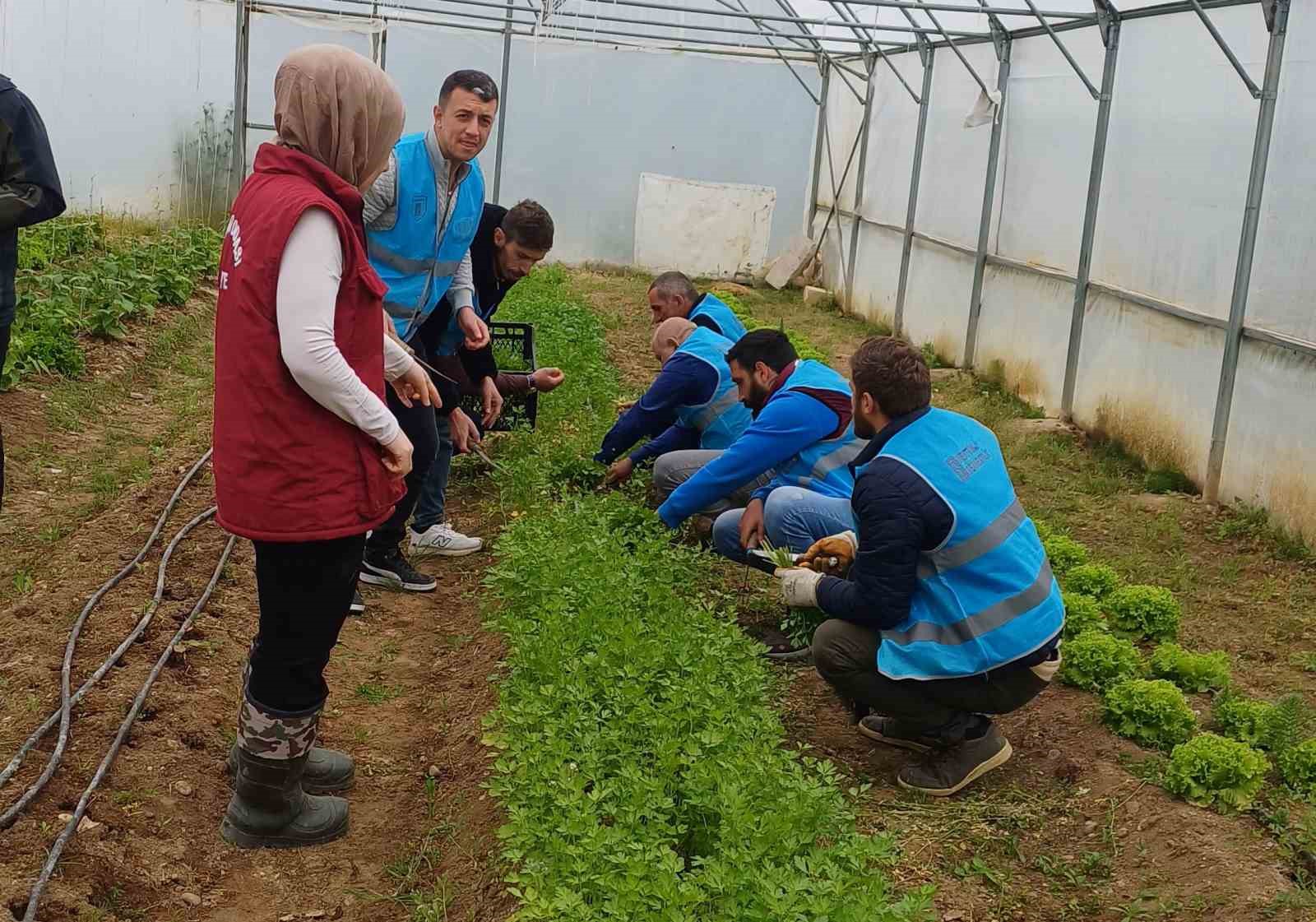 Denetimli serbestlikteki hükümlüler üretimle hayata tutunuyor