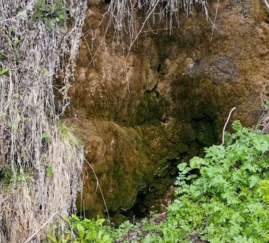 Kırşehirli 4 dağcı, Demirli Kale Tepe’ye tırmandı
