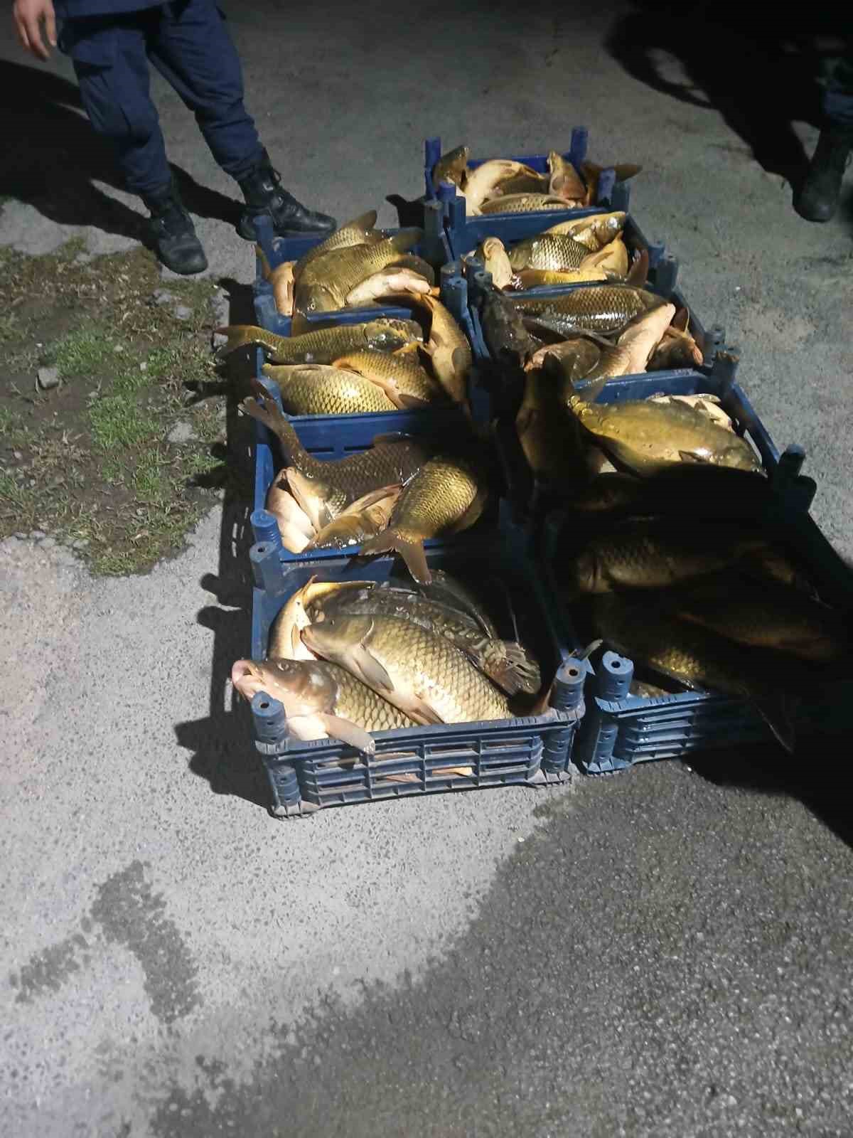 Elazığ’da kaçak avlanılan 210 kilo balık ele geçirildi