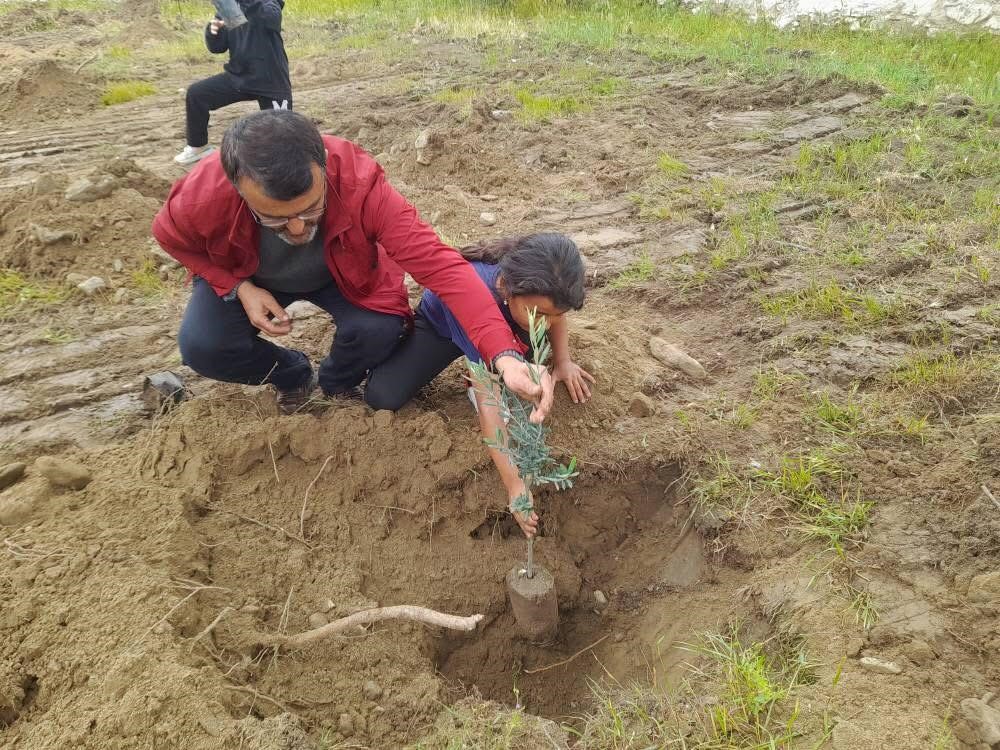 Minik eller okul bahçesine zeytin dikti
