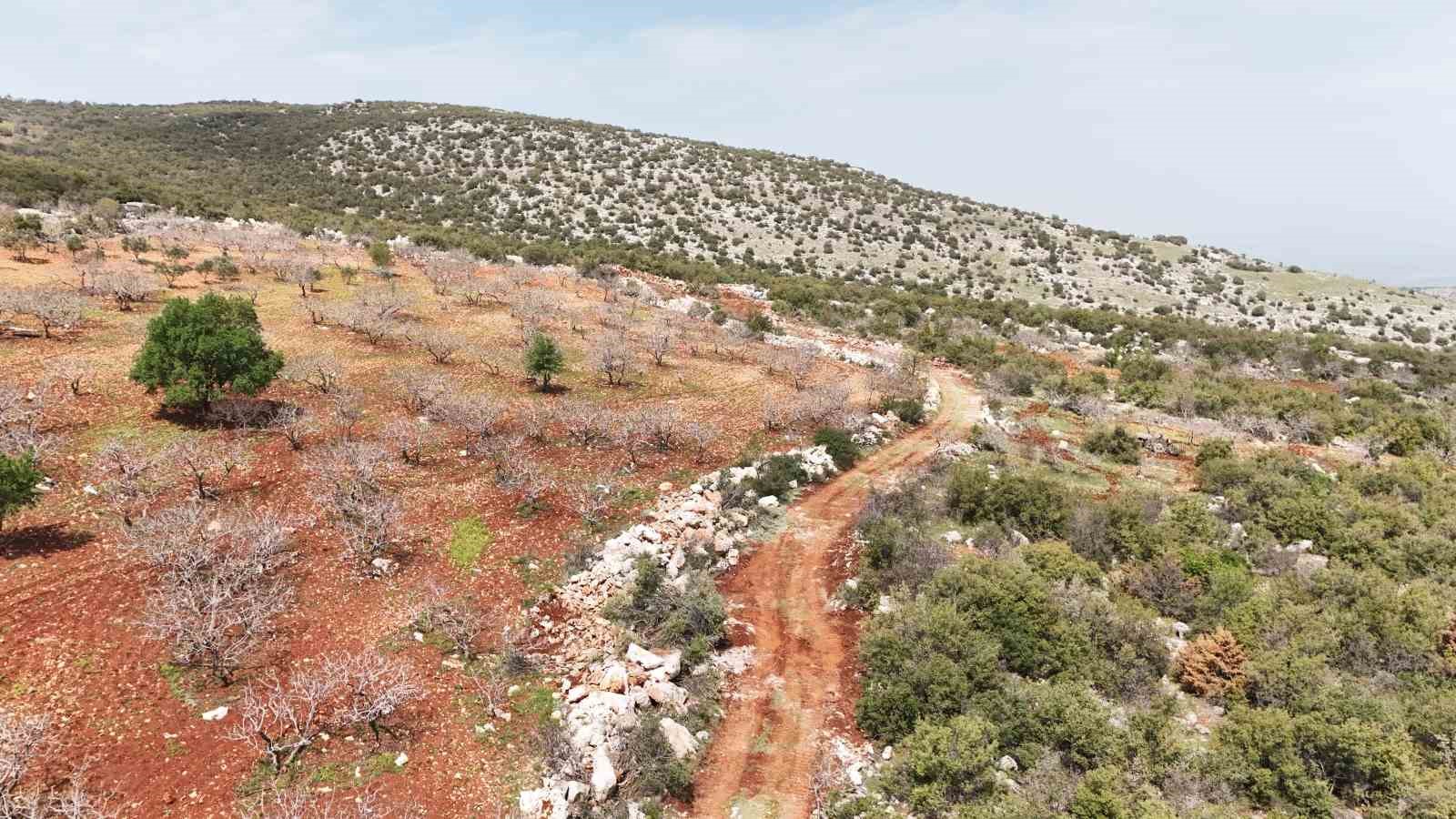 100 haneyi etkileyen arazi yolu açıldı
