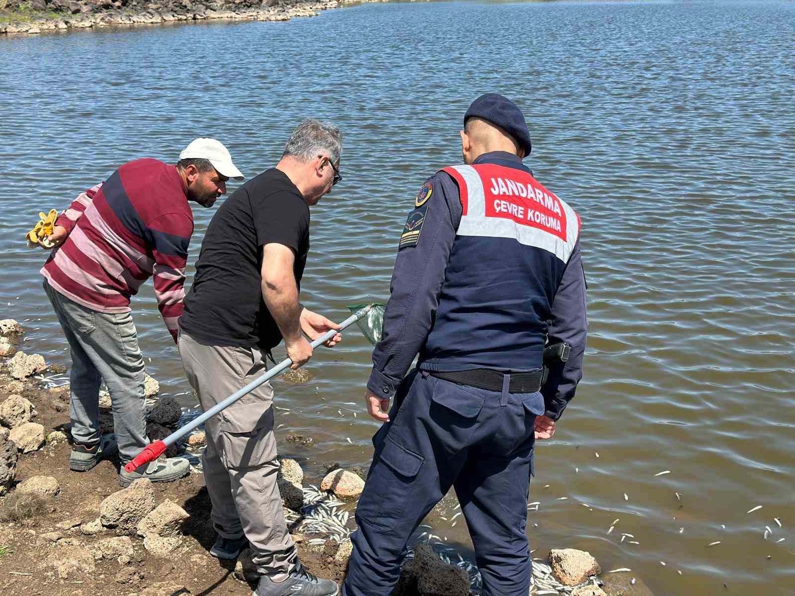 Diyarbakır’da göletteki balık ölümlerine inceleme