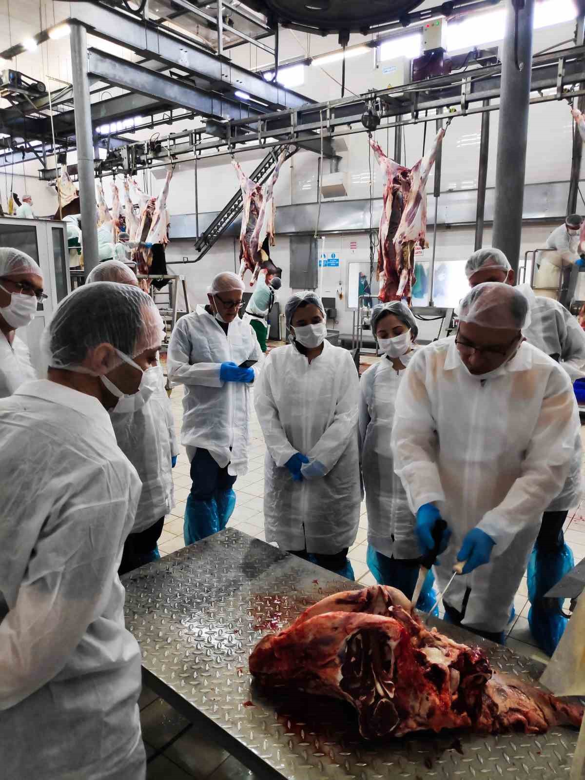 Denizli’de veteriner hekimlere yönelik eğitim düzenlendi