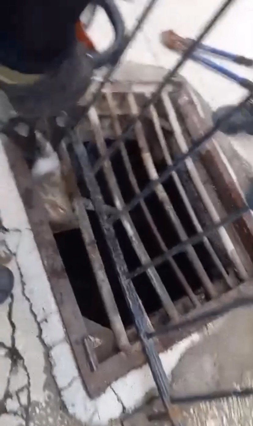 Mazgala sıkışan kediyi itfaiye kurtardı