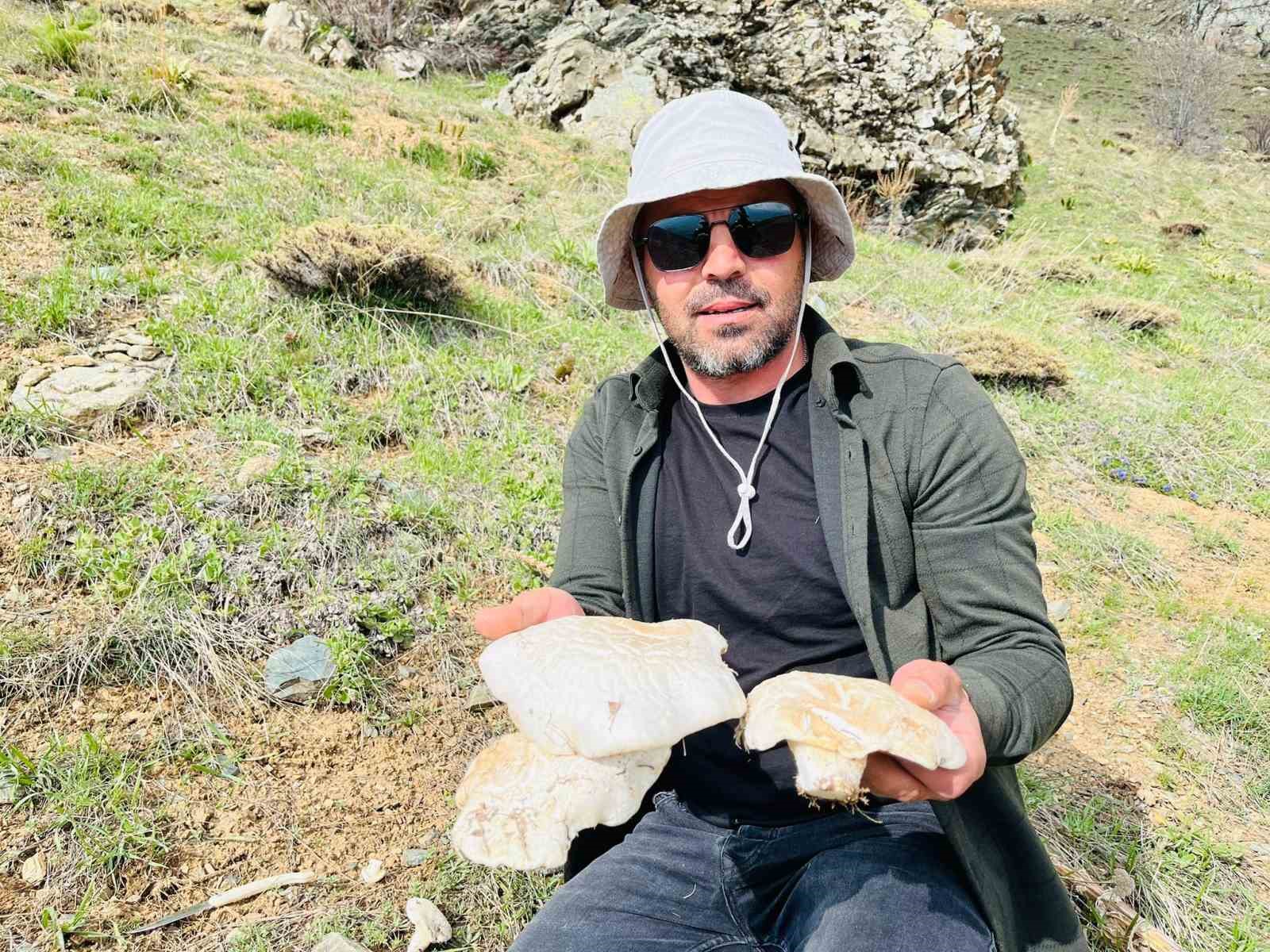 2 bin rakımın üzerinde yetişen mantarları topluyorlar