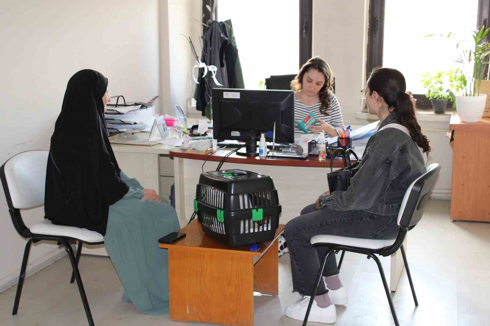 Tercan&rsquo;da mikro&ccedil;ip &ccedil;alışmaları devam ediyor
