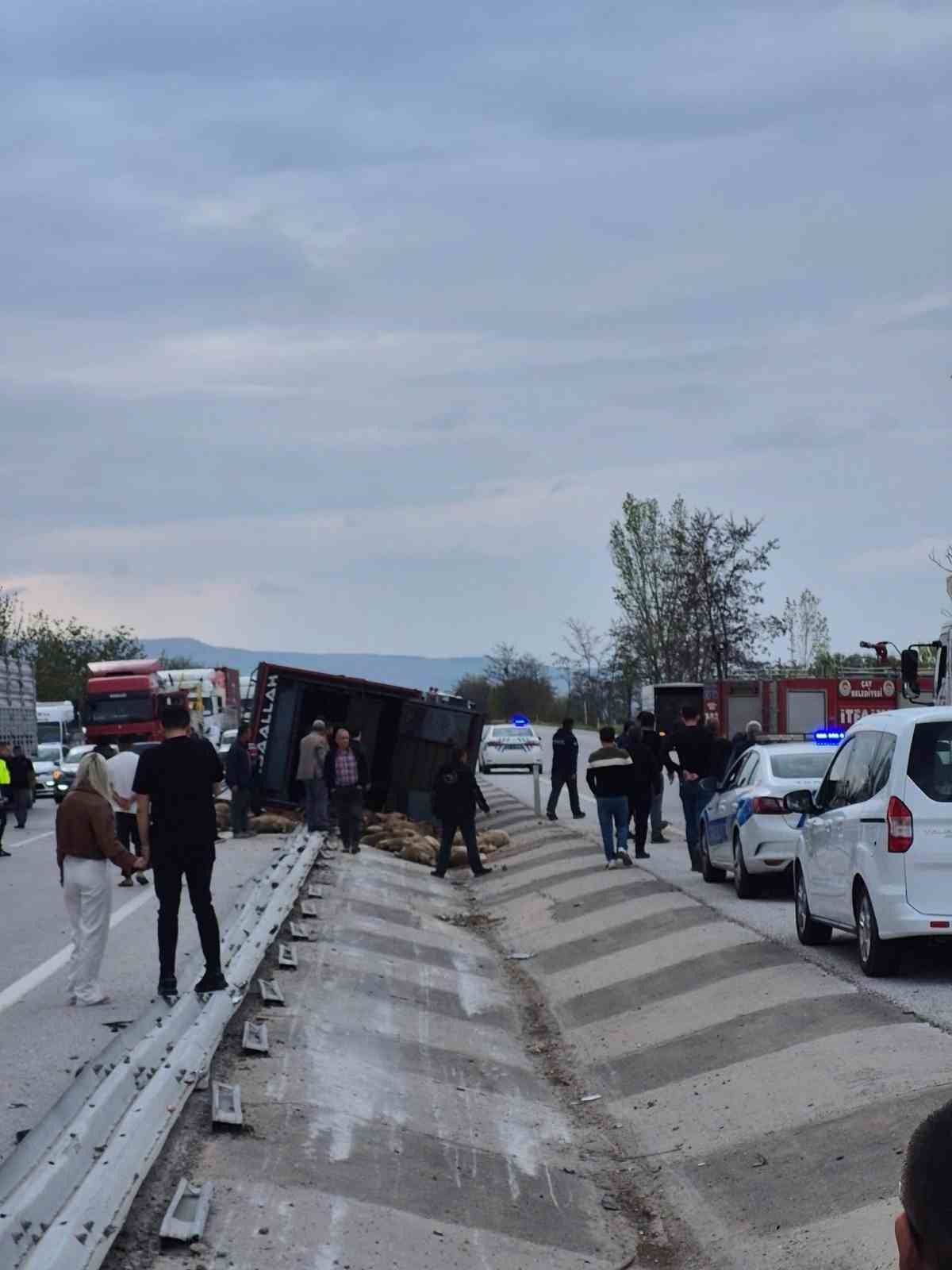 Devrilen kamyonda 53 koyun telef oldu